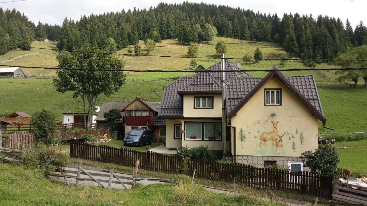 Casa Marcela Фундата Екстер'єр фото